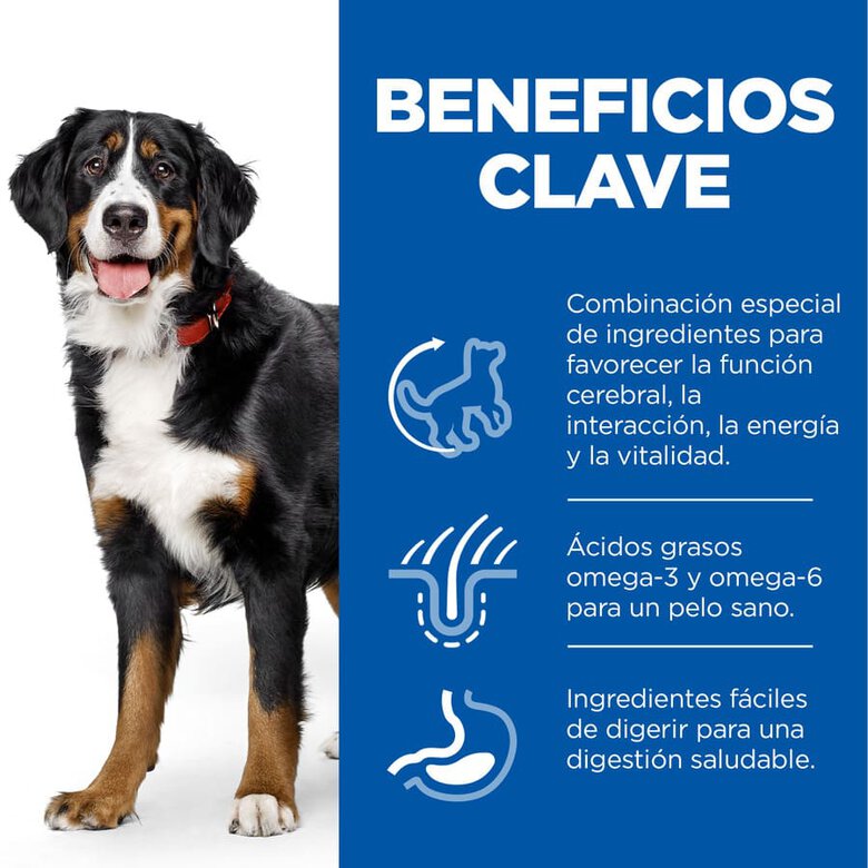 Hill's Science Plan Youthful vitality Large pienso para perros, , large image number null